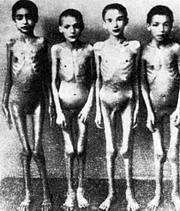 bambini ad Auschwitz