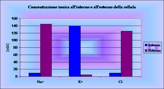 grafico2