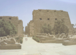 Karnak: viale delle sfingi