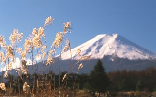 Fuji.jpg (14587 byte)