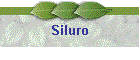 Siluro