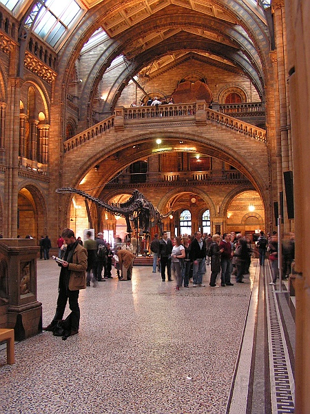 Natural History Museum (33).JPG