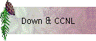 Down & CCNL
