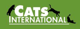 Cats International
