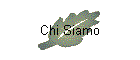 Chi Siamo