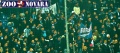 Curva Nord