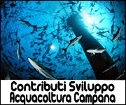 Contributi per lo sviluppo dell'Acquacoltura regione Campania