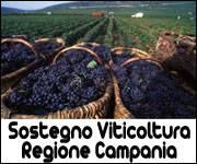 Contributi per il Sostegno della Viticoltura Regione Campania