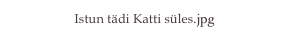 Istun tädi Katti süles.jpg