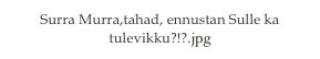 Surra Murra,tahad, ennustan Sulle ka tulevikku?!?.jpg