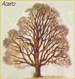 Acero