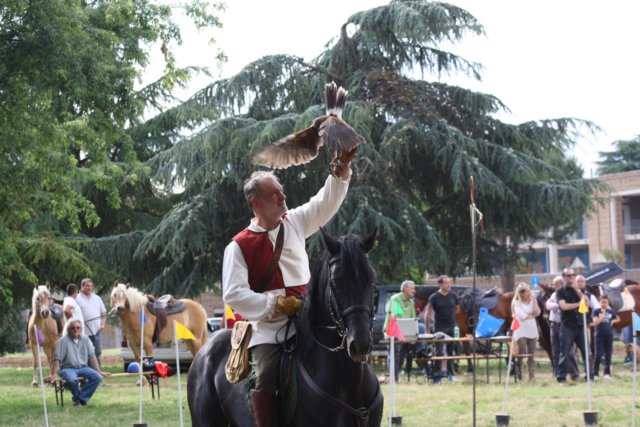 paliodelsaracino2011nepi13.jpg