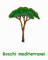 boschi mediterranei