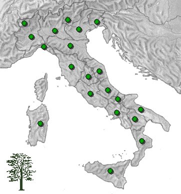 distribuzione della Robinia in Italia