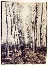 Lane with Poplar Trees