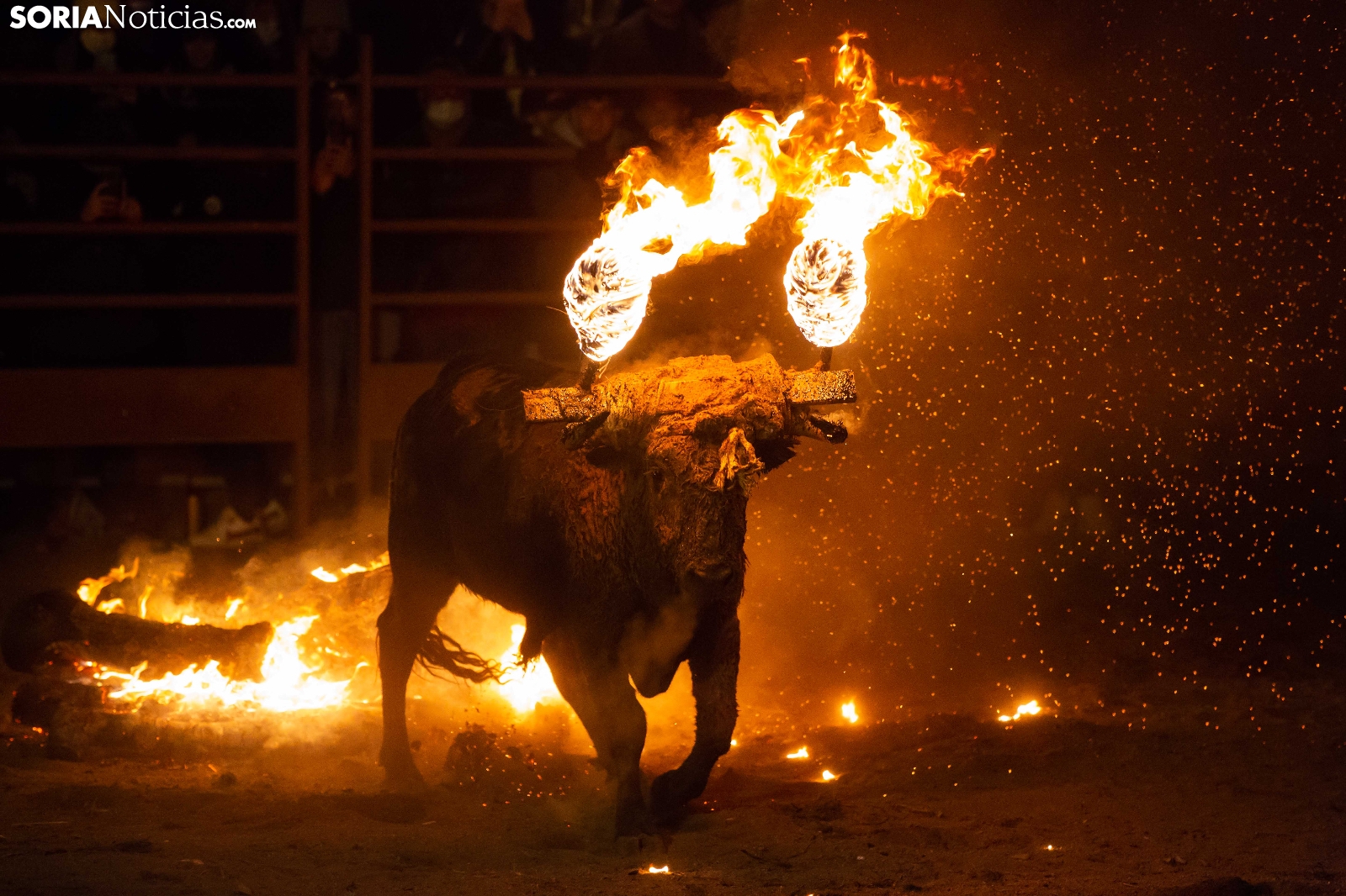 Tradizione horror in Spagna: tortura del toro col fuoco