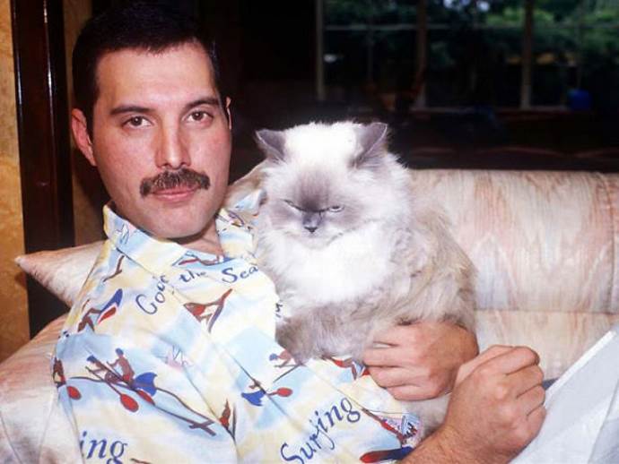 Freddy Mercury-gatto2.jpg