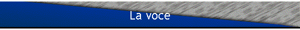 La voce