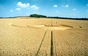 crop circle