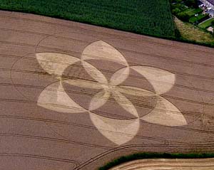 crop circle