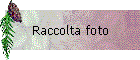 Raccolta foto