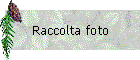 Raccolta foto