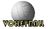 gif pallone volley