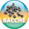 Sphere-BACCHE.jpg (2530 byte)