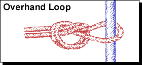 Loop