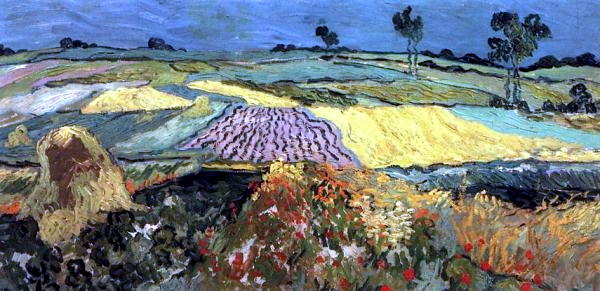 Wheat Fields near Auvers, Vincent van gogh, 1890