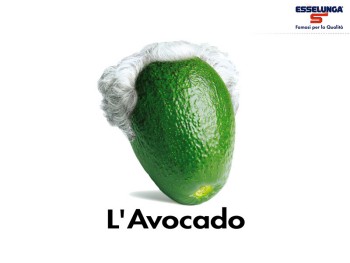 avocado