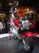 eicma06 105