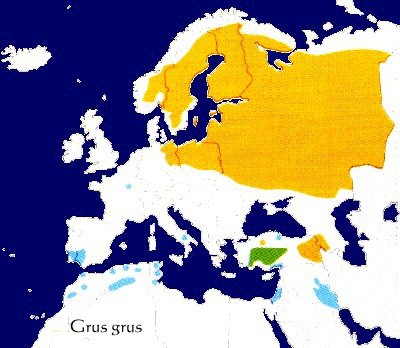 Maps of the birds of the Western Palearctic Region - Gruidae