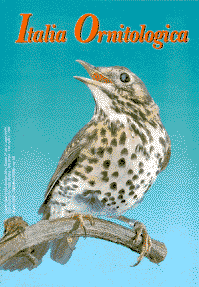 Logo Italia Ornitologica