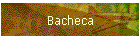 Bacheca