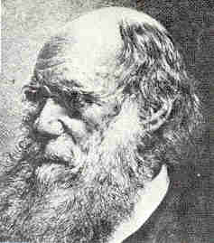 Darwin.jpg (117332 byte)