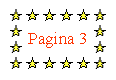 Text Box: Pagina 3