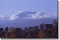 Tanzania - Il Kilimanjaro