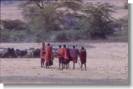 Tanzania - Pastori Maasai