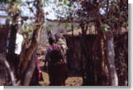 Tanzania - Villaggio Maasai