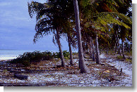 Zanzibar - Spiaggia a Beeju