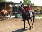 bambina a cavallo