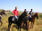 Passeggiate a cavallo