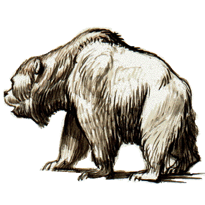 orso delle caverne preistorico