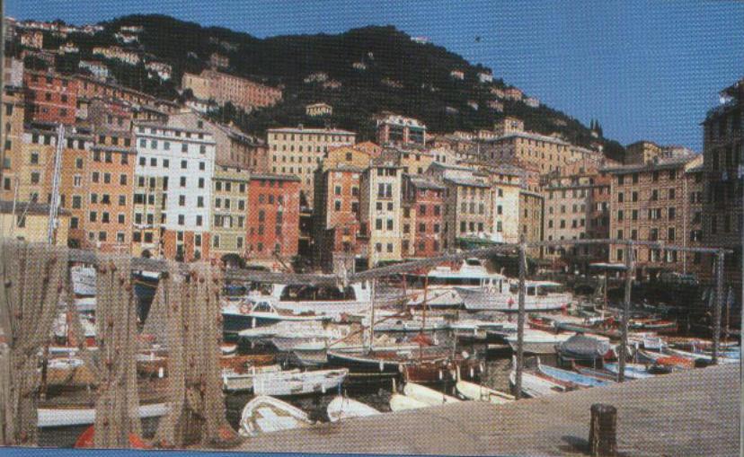 Camogli: foto2