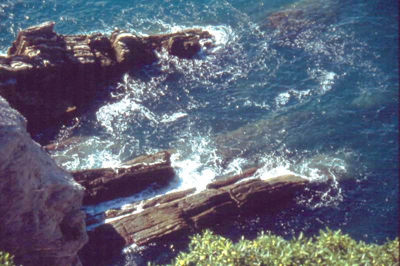 Camogli panorama