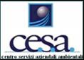 Logo Cesa consulting Dispositivi di sicurezza