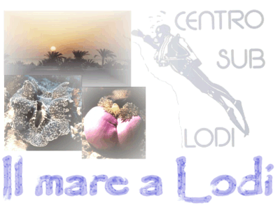 Nuovo Centro Sub Lodi - Il mare a Lodi