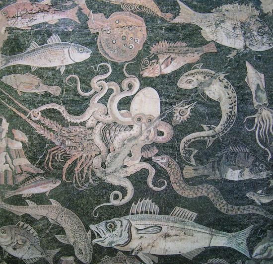 Scena marina con pesci (Casa del Fauno - I sec d. C.)