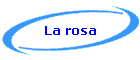 La rosa